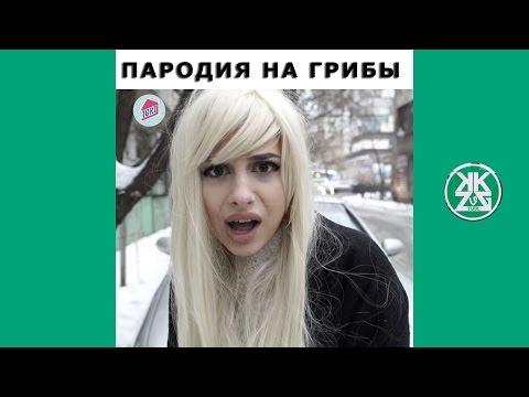 Подборка Лучших Вайнов 2017 Русские и Казахские вайны | Самые ЛУЧШИЕ приколы! #19 ПАРОДИЯ НА ГРИБЫ