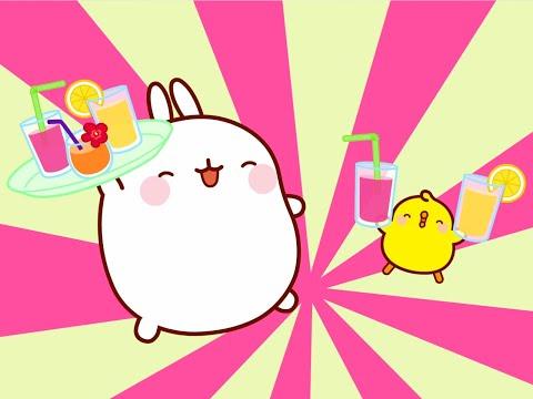 Molang - The aquarium | Full Molang episodes - Cartoon for kids
