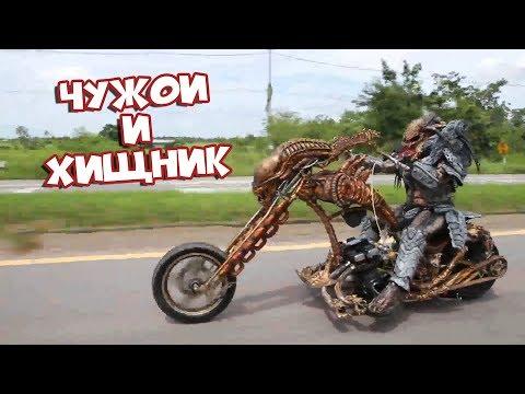 Чужой и Хищник | Лучшие Приколы [BugagaTV]