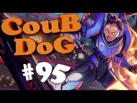 BEST COUB DOG #95 | лучшие приколы за Август 2018 / mycoubs / аниме / mega coub / моменты / funny