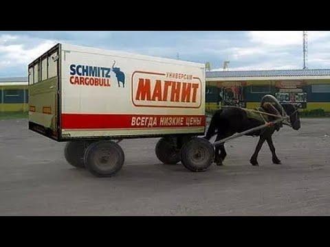 ПРИКОЛЫ ИЗ ЖИЗНИ 2021 ДАЛЬНОБОЙ | Необычные случаи и смекалка дальнобойщиков #47