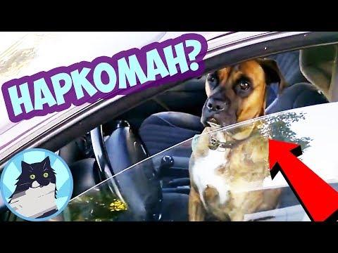 НАРКОМАН 