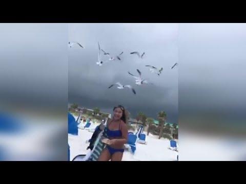 ЛУЧШИЕ ПРИКОЛЫ 2018 АВГУСТ Подборка новых приколов 2018 # 43