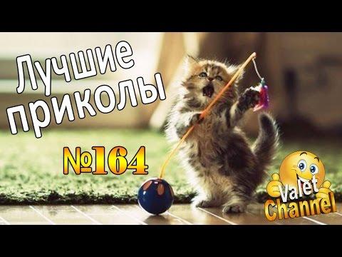 ЛУЧШИЕ ПРИКОЛЫ 2016 #164