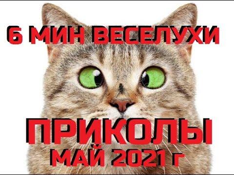 Приколы 2021 Приколы май 2021 Розыгрыш Смех Ржач фарс Jokes Шутки Mems Мемы Хохма 2021
