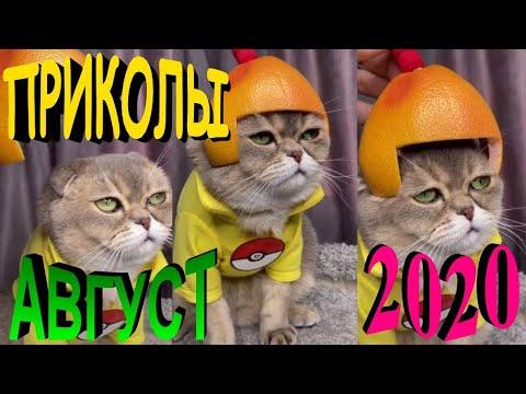 ПРИКОЛЫ 2020 САМЫЕ НОВЫЕ!!!!СМОТРЕТЬ ПРИКОЛЫ 2020!!!#19