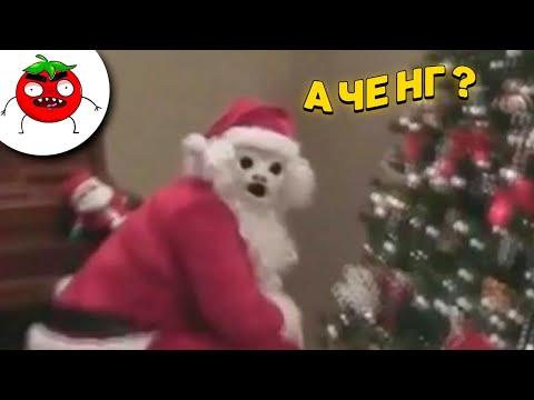 ЗАСМЕЯЛСЯ - ПОДПИСАЛСЯ!! ЛУЧШИЕ ПРИКОЛЫ I 548 СЕКУНД СМЕХА