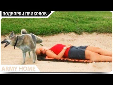 ПРИКОЛЫ 2017 Март #89 жесть угар прикол - ПРИКОЛЮХА