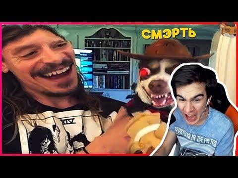 Братишкин смотрит 741 СЕКУНДА СМЕХА | ЛУЧШИЕ ПРИКОЛЫ НОЯБРЬ 2018 #99