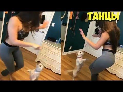 Лучшие приколы Май | Best Jokes Compilation #150