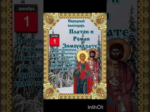 Платон и Роман Зимоуказатели. #2024 #зима #декабрь