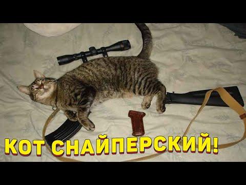 ЗАСМЕЯЛСЯ - ПОДПИСАЛСЯ!! ЛУЧШИЕ ПРИКОЛЫ 2021ТЕСТ НА ПСИХИКУ УГАР! #322