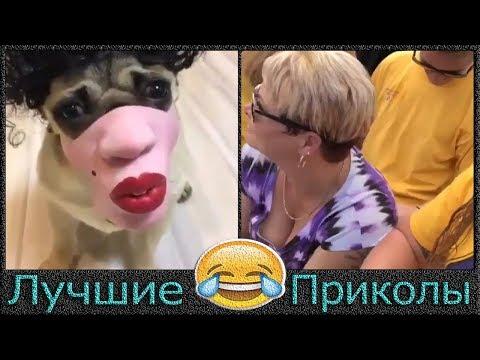Приколы 2018 лучшие | Подборка приколов #-5