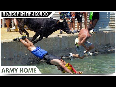 30 МИНУТ СМЕХА ДО СЛЕЗ | ПРИКОЛЫ 2020 Октябрь #71 ржака угар - ПРИКОЛЮХА