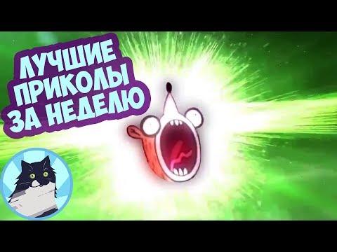 ЛУЧШИЕ ПРИКОЛЫ ЗА НЕДЕЛЮ 
