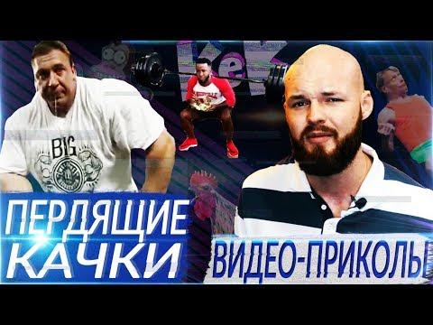 ПЕРДЯЩИЕ КАЧКИ (видео приколы)