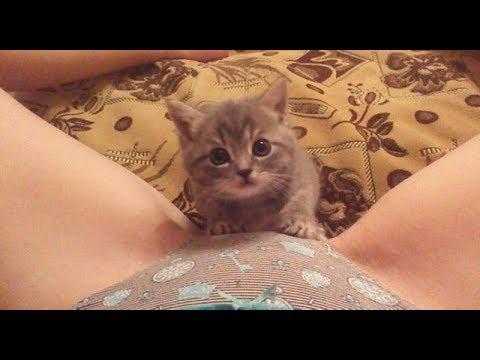 ПРИКОЛЫ 2018  ржака до слез угар прикол - СМЕШНОЕ ВИДЕО