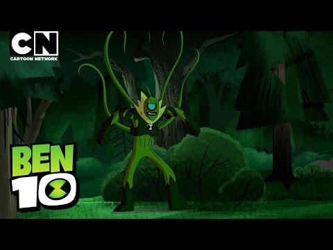 Ben 10 | Meet WILDVINE! | Cartoon Network