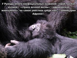 9X2AW Руанда. С сайта dxnews.com