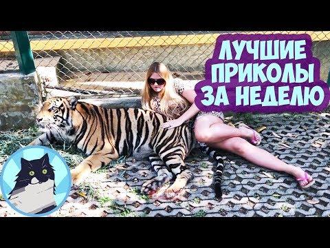 ЛУЧШИЕ ПРИКОЛЫ ЗА НЕДЕЛЮ 