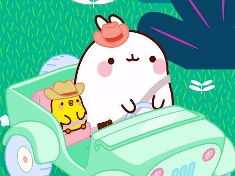 Molang - The Jungle | Full Molang episodes - Cartoon for kids