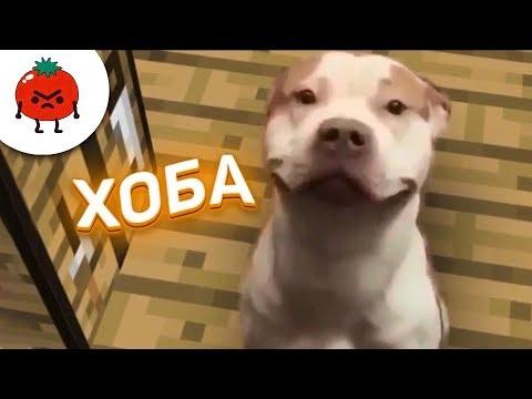 ЗАСМЕЯЛСЯ - ПОДПИСАЛСЯ!! ЛУЧШИЕ ПРИКОЛЫ I 424 СЕКУНД СМЕХА