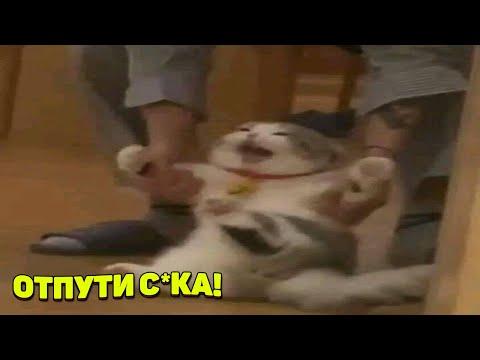 ЗАСМЕЯЛСЯ - ПОДПИСАЛСЯ!! ЛУЧШИЕ ПРИКОЛЫ 2020 ТЕСТ НА ПСИХИКУ УГАР! #301
