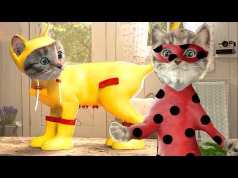 ПРИКЛЮЧЕНИЕ МИЛОГО КОТЕНКА. Костюм ЛЕДИ БАГ? Мультик игра для детей на канале Малышерин