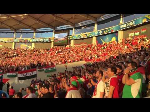 Бельгия Венгрия. Евро 2016. Тулуза. Болельщики Венгрии.