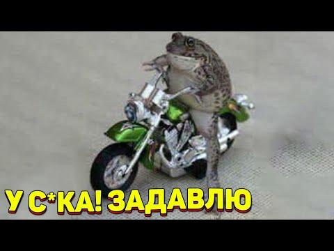 ЗАСМЕЯЛСЯ - ПОДПИСАЛСЯ!! ЛУЧШИЕ ПРИКОЛЫ 2020 ТЕСТ НА ПСИХИКУ УГАР! #208