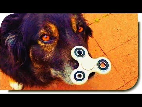 ЛУЧШИЕ ПРИКОЛЫ #80 -  Спиннер