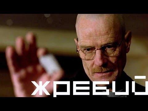 SportMovie | Болельщики, которые пропустили жеребьёвку!