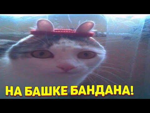 ЗАСМЕЯЛСЯ - ПОДПИСАЛСЯ!! ЛУЧШИЕ ПРИКОЛЫ 2021 ТЕСТ НА ПСИХИКУ УГАР! #334