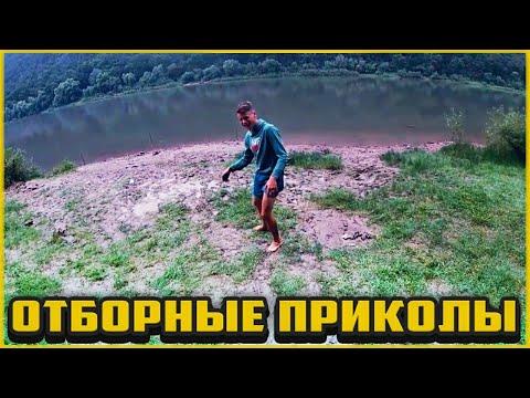 Отборные приколы август 2020 | Лучшие приколы август 2020 #72