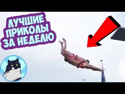 ЛУЧШИЕ ПРИКОЛЫ ЗА НЕДЕЛЮ 