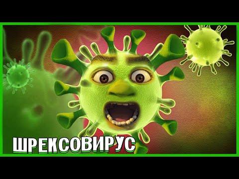 САМЫЕ СМЕШНЫЕ ВИДЕО 2019! ПОДБОРКА ЛУЧШИХ ПРИКОЛОВ ЗА ГОД ! ТЕСТ НА ПСИХИКУ #162
