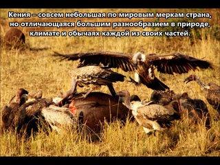 5Z4/AK0SK Кения. С сайта dxnews.com