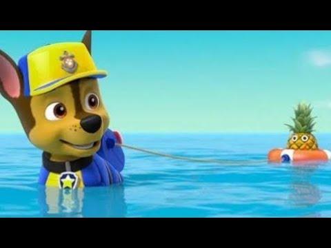 Paw Patrol Cartoon ★  Мультик для детей сборник 2018 серия 32 ceboh ngundang