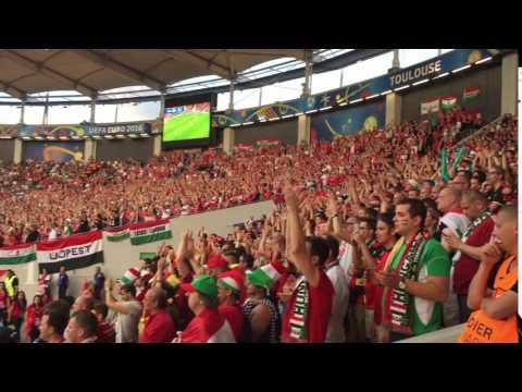Бельгия Венгрия. Евро 2016. Тулуза. Болельщики Венгрии.