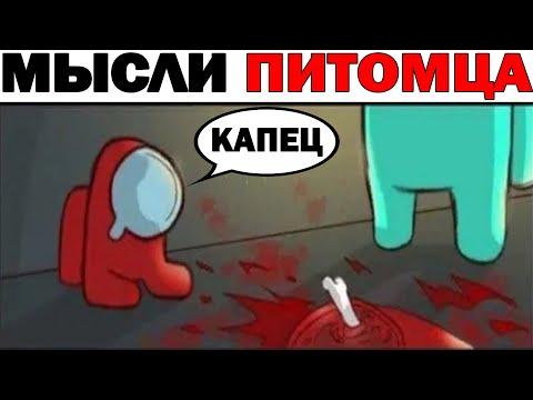Лютые приколы. МЫСЛИ ПИТОМЦА.Угарные мемы