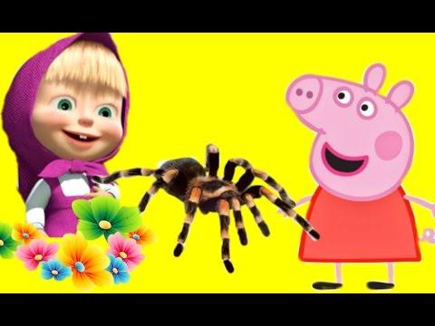 МУЛЬТИК МАША И МЕДВЕДЬ & СВИНКА ПЕППА. НОВИНКА БЕЗУМНЫЙ ДЕНЬ МУЛЬТФИЛЬМ ВИДЕО ДЛЯ ДЕТЕЙ