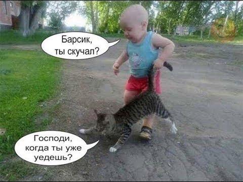 Приколы с котами и смешная озвучка животных – Магия и коты 2018 от PSO