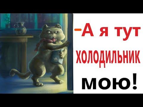 Приколы! ХОЛОДИЛЬНИК ДЛЯ КОТА! Доми шоу (Анимация)