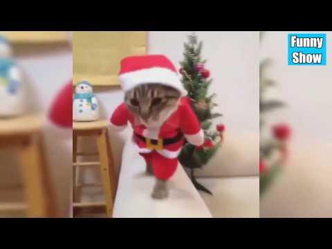 ТЕСТ НА ПСИХИКУ CHALLENGE ЛУЧШИЕ ПРИКОЛЫ 2016 :)