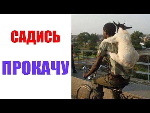 Лютые приколы ,Садись Прокачу. Угарные мемы.