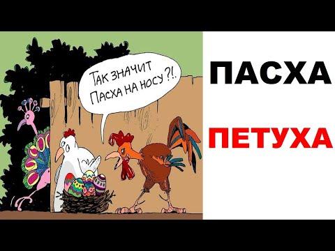 Лютые приколы. ПАСХА ПЕТУХА. Угарные мемы