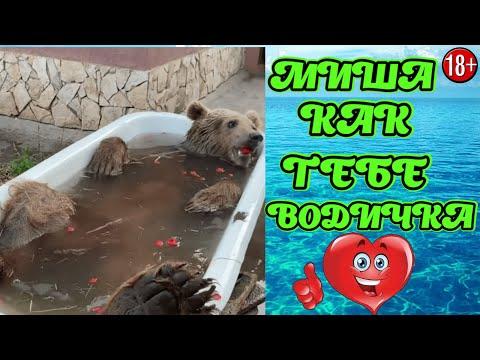 ЛУЧШИЕ ПРИКОЛЫ ИЮЛЬ 2021 | 15 МИНУТ СМЕХА ДО СЛЁЗ | угар | tik tok video |  тик ток  #176