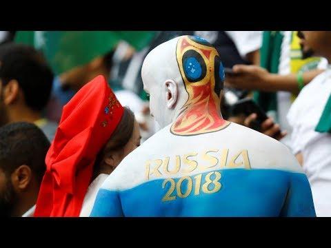 Шоу Стэна Коллимора. Стэн съел медведя