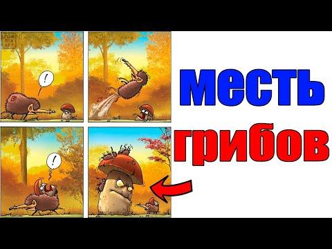 Лютые приколы. МЕСТЬ ГРИБОВ! НЕ НАРЫВАЙСЯ.угарные мемы