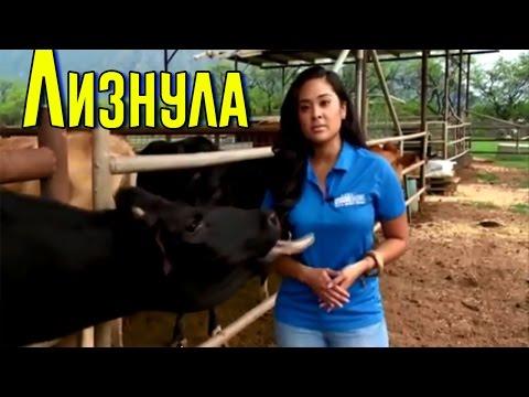 ЛУЧШИЕ ПРИКОЛЫ АПРЕЛЬ 2017 | Лучшая Подборка Приколов #16